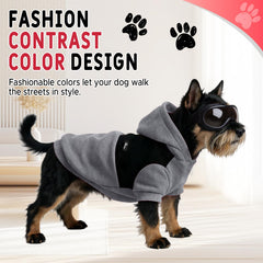 Nibnozy dog hoodie color-block design offers a trendy look on daily walks.