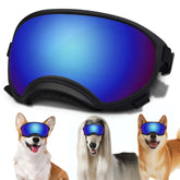 NICERINC PET medium dog sunglasses lens close-up showing UV protection for sunny walks