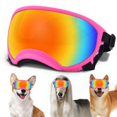 NICERINC PET medium dog sunglasses on dog with secure fit for sunny walks