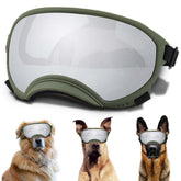 NICERINC PET Winproof dog sunglasses front view with UV protection and foam pad