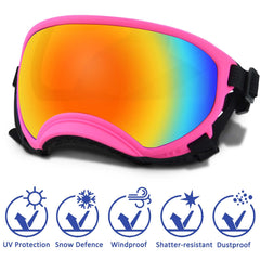 Nicerinc Pet Winproof adjustable-strap demonstrates secure fit during outdoor walks.