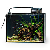 NICREW 2.5 gallon front view highlights compact desktop setup for small spaces.