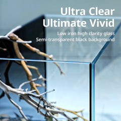 NICREW rimless-design close-up shows unobstructed viewing of aquatic life.