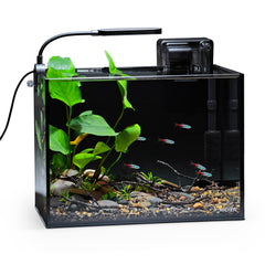 NICREW 2.5G Nano Nature aquarium kit front view in black for a sleek, space-saving desktop display.