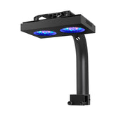 NICREW HyperReef 100 Gen 2 spectrum glow highlights coral fluorescence and growth