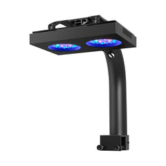 NICREW HyperReef 100 Gen 2 spectrum glow highlights coral fluorescence and growth