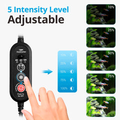 NICREW LED Aquarium Light day-night cycle shows gentle lighting transitions