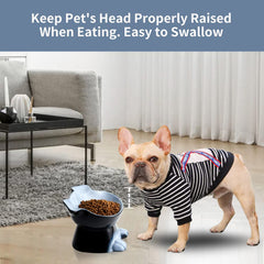 Nihow elevated ceramic dog bowl full-dish view demonstrates 8-ounce portion capacity