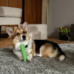 Nikki and Max soft-rubber bristles provide gentle massage while cleaning gums