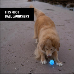 Nite Ize GlowStreak rubber surface provides grip for chasers and bite-friendly fetch.