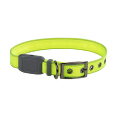 NiteDog con cierre de bucle metálico ajustable