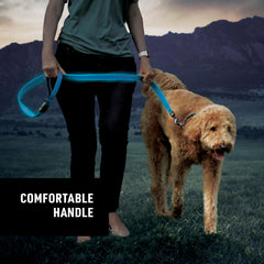 NiteDog blue leash charging port image illustrating quick recharge in about an hour.