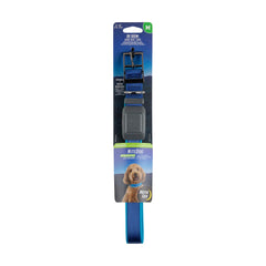 Nite Ize NiteDog LED Collar with blue glow for safer night walks.