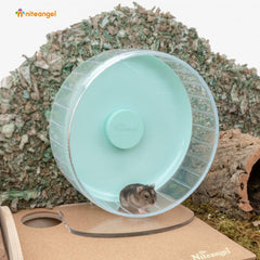 Niteangel mint-green 10-inch wheel features durable PS plastic and chew-resistant base.
