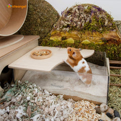 Niteangel Animal Sand-Bath Box half-lid removable aids sand containment during play.