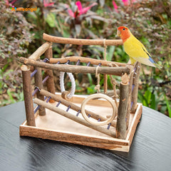 Niteangel Bird Activity Center ladders provide climbing enrichment for birds.