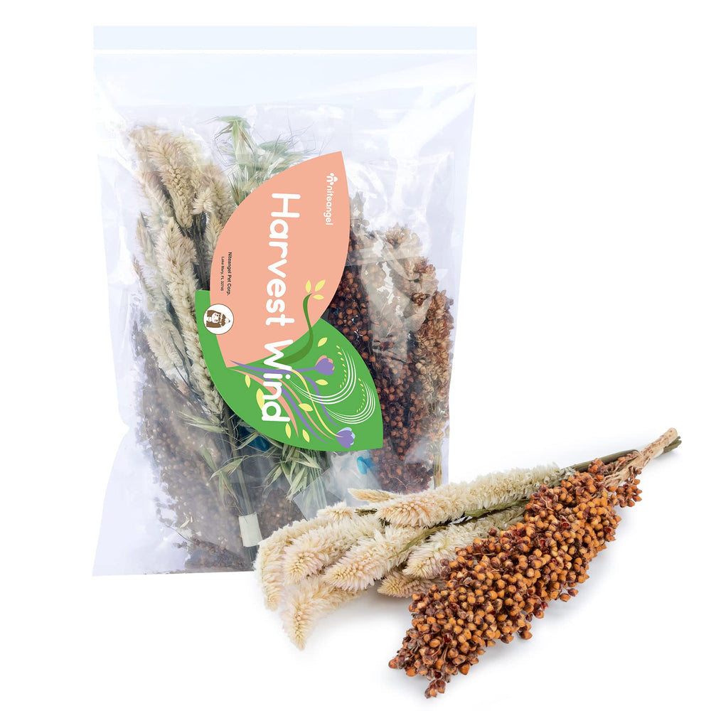 Niteangel packaging close-up showing decorative, pet-safe flower petals for habitats.
