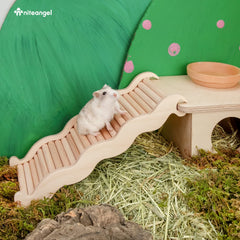 Niteangel hamster climbing toy expand space span invites exploration and enrichment in compact habitats.