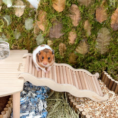 Niteangel hamster climbing toy side-view showcases durable design for safe, exploratory activity.