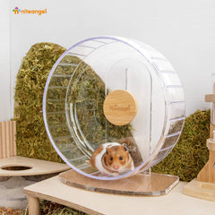 Niteangel wide running track offers comfortable spins