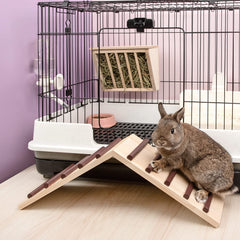 Niteangel Wooden Cage Bridge for guinea pigs—easy access and gentle ascent in the habitat.