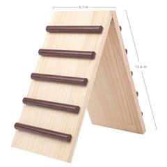 Niteangel Wooden Cage Bridge inside-cage setup—encourages exploration safely.