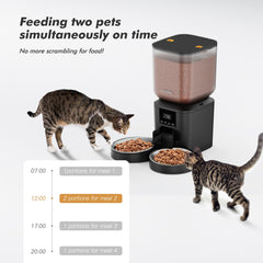 Nityers automatic cat feeder with LCD screen offers easy scheduling
