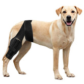 NIUBNKJ dog knee brace adjustable hind-leg for stable activity.