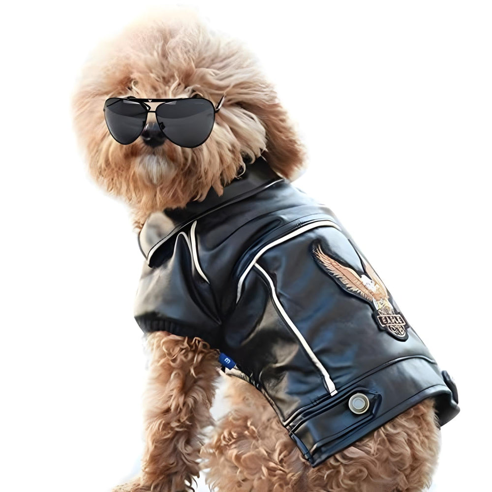 NIULA dog leather jacket front view highlights stylish biker look for cozy winter walks