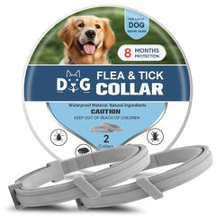 NJKPUYT flea-tick collar on dog for longer outdoor protection