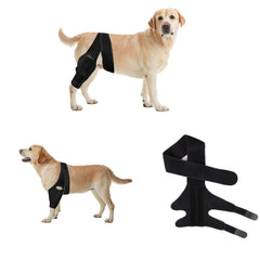 NLAIKE dog knee brace closed strap on dog supports joints during activity