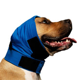 No Flap ear wrap blue pinpoint mesh medium front close-up highlighting breathable fabric for ear protection