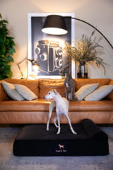 NOAH & PAW denim bed eggshell cooling gel close-up for temperature control
