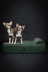 NOAH & PAW eggshell foam infused with cooling gel for breathable rest