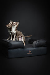 NOAH & PAW memory foam core highlighted for orthopedic support