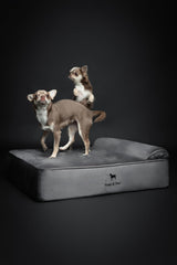 NOAH & PAW 3-layer foam construction emphasizes supportive, durable comfort for pets.
