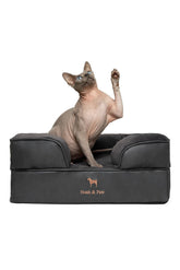 NOAH & PAW small dog bed memory-foam-top offers supportive, comfortable resting surface