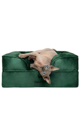 NOAH & PAW small dog bed outer cover demonstrates waterproof protection for easy cleaning.