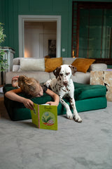 NOAH & PAW XL dog bed memory foam layer providing comfortable support.