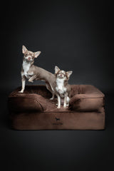 NOAH & PAW inner-cover-removable image shows easy machine-wash cleaning.