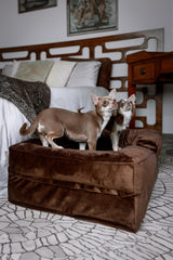 NOAH & PAW waterproof-cover image demonstrates spill protection and durability.
