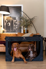 Noah & Paw folding mechanism shows patent-pending ease for quick setup.