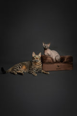 NOAH & PAW cooling gel eggshell layer helps maintain comfortable temperature.