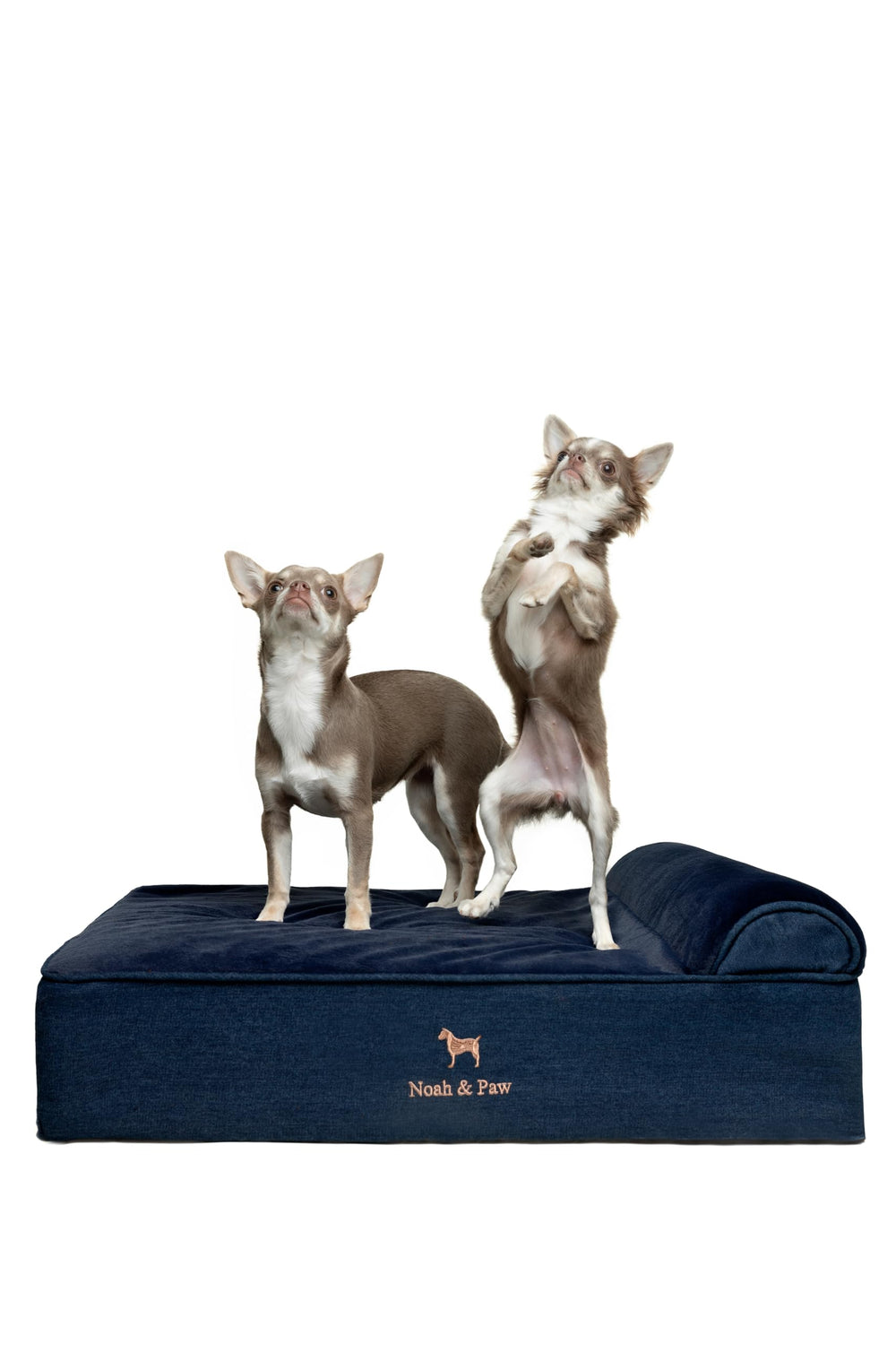 NOAH & PAW Denim dog bed front view with orthopedic support.