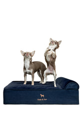 NOAH & PAW Denim dog bed front view with orthopedic support.