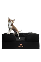 NOAH & PAW denim sofa collection dog bed front view shows durable fabric and inviting design