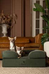 NOAH & PAW dog bed egg-shell-memory-foam provides plush support and edge comfort.
