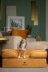 NOAH & PAW inner cover shown for secure, washable layering and daily cleanliness