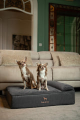 NOAH & PAW memory foam layers visible for joint comfort and pressure relief