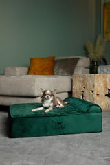 NOAH & PAW memory-foam top layer close-up for plush comfort